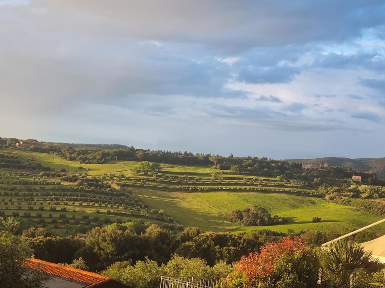 Agriturismo Le Rondini Di San Bartolo San Vincenzo Exterior photo